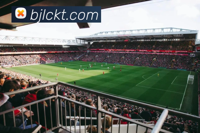 真人百家乐APP 封面图